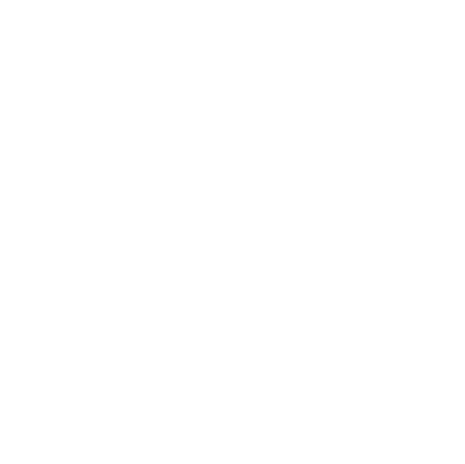 VALUE icon