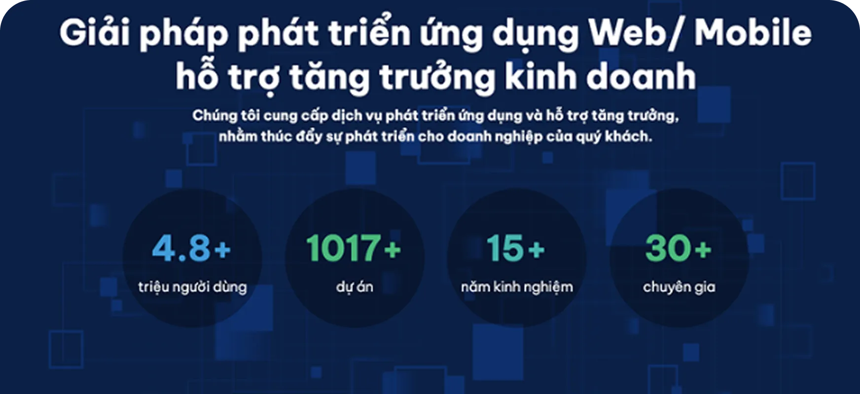 📱 Vitalify Asia ベトナム市場向け紹介サイト